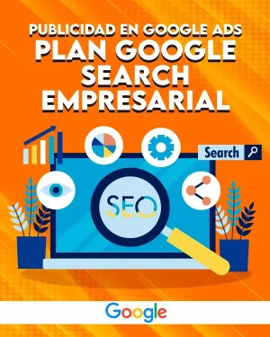 Plan Google Search Empresarial