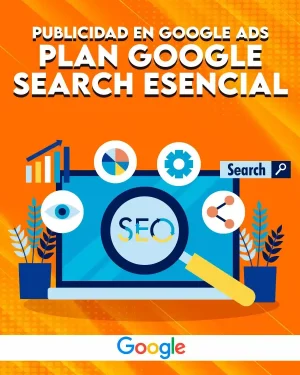 Plan Google Search Esencial